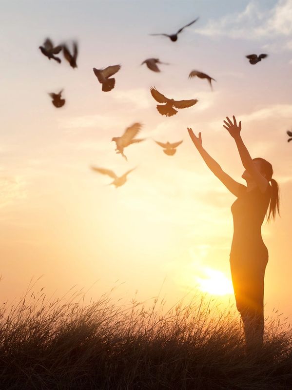 Home1 woman praying and free bird enjoying nature on sunset background, hope concept